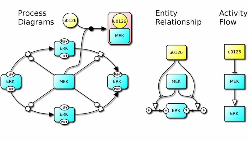 Graphic showing the catalysis of ERK extracellular signal-regulated kinase phosphorylation by the kinase MEK in the growth factors signalling pathway Graphic showing the catalysis of ERK extracellular signal-regulated kinase phosphorylation by the kinase MEK in the growth factors signalling pathway